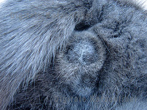 Bild 8. Zustand einen Monat nach OP