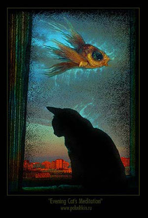 Abendliche Meditation einer Katze. Foto: Andrew Polushkin