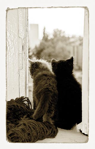 Das Fenster ins Leben. Foto: Serge B.